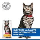 Hill's Science Plan Cat Adult Urinary Health al Pollo 1,5 kg