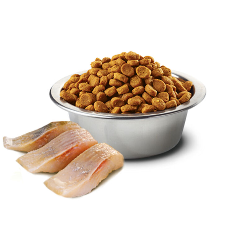 Farmina N&D Ocean Cat Adult Neutered Aringa e Arancia 1,5 kg