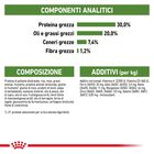 Royal Canin Cat Adult Outdoor 2 kg