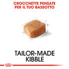 Royal Canin Dog Adult e Senior Bassotto 1,5 kg