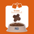 Monopro Dog Adult Mini Grain Free Anatra 2 kg