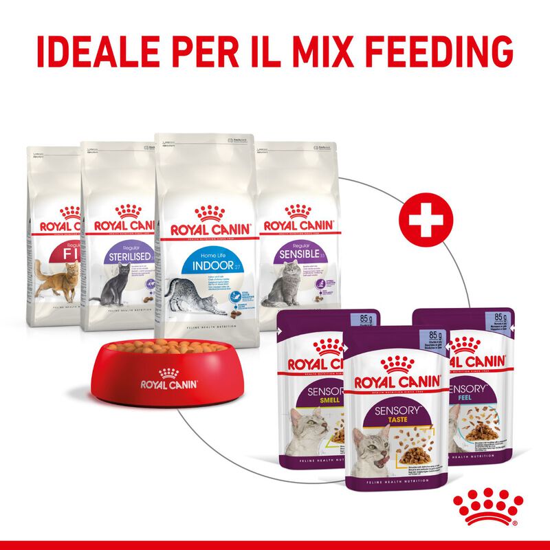 Royal Canin Cat Adult Sensory Smell Jelly 85 gr Royal Canin Cat Adult Sensory Smell Jelly 85 gr