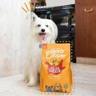 Edgard & Cooper Dog Adult Pollo 7 kg