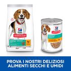 Hill's Science Plan Dog Perfect Weight Medium con Pollo 12 kg