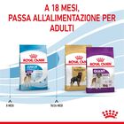 Royal Canin Dog Giant Junior 15 kg