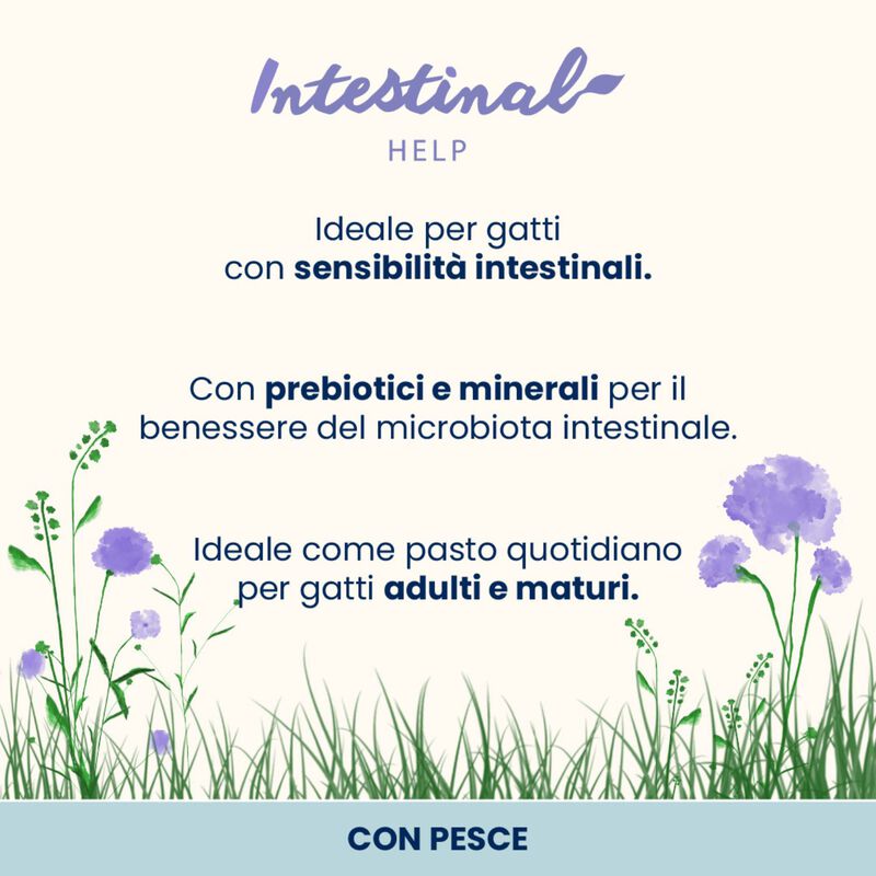 Almo Nature Intestinal Help Cat Adult con Pesce 70gr