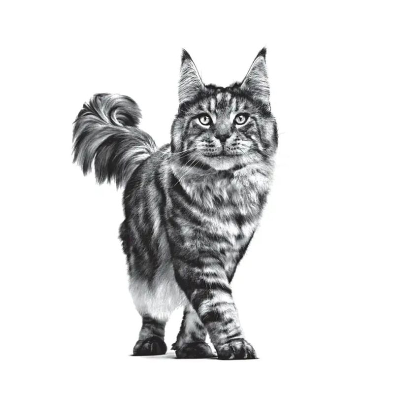 Royal Canin Veterinary Diet Cat Renal 400 gr