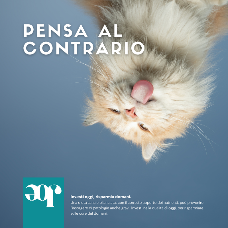 Joepet Cat Adult Bio Veg Olio 250 ml