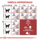 Royal Canin Cat Adult Fit 32 400 gr