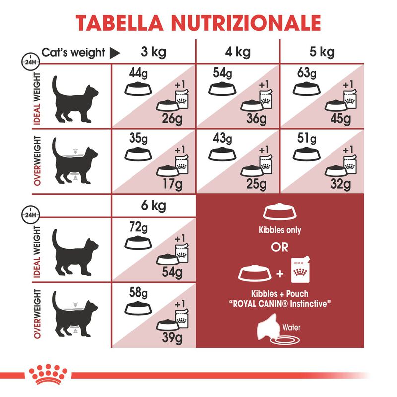 Royal Canin Cat Adult Fit 32 400 gr
