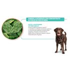 Natural Trainer Dog Maxi Adult Light in Fat Tacchino 12 kg
