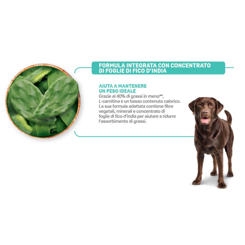 Natural Trainer Dog Maxi Adult Light in Fat Tacchino 12 kg