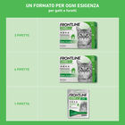Frontline Combo Spot-On gatti 1 pipetta - Scad Dicembre 2025