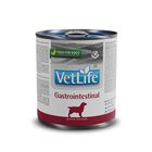 Farmina Vet Life Dog Gastrointestinal 300 gr