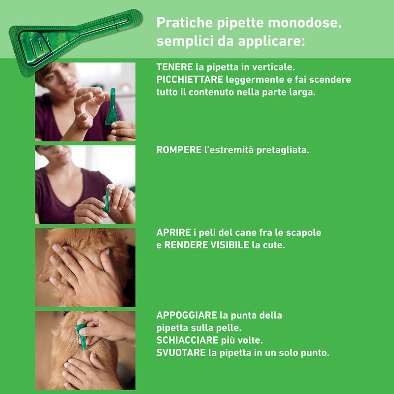 Frontline Combo Spot-On cane superiore a 40 kg 3 pipette
