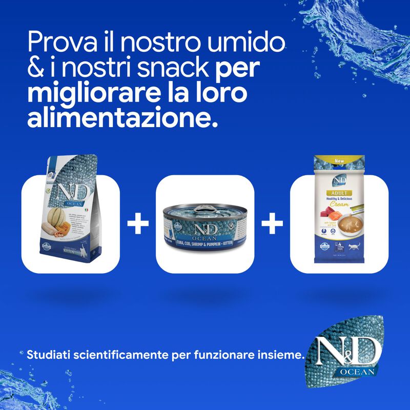 N&D Farmina Ocean Kitten Merluzzo, Gamberetti, Zucca e Cantalupo 1,5 kg