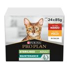 Purina Pro Plan Cat Adult Sterilised Maintenance con Manzo e Pollo in Salsa 24 x 85 gr