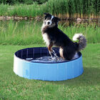 Trixie Piscina per cani 120x30 cm image number 0