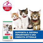 Hill's Science Plan Cat Kitten al Pollo 300 gr