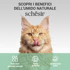 Schesir cat Filetti di Pollo, Manzo e Riso 70gr