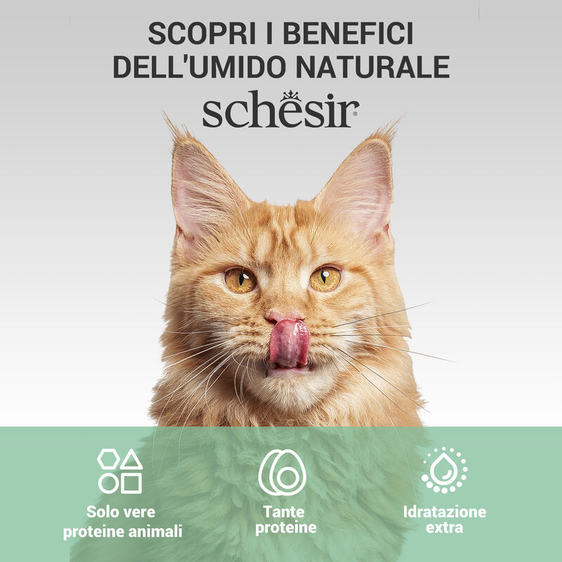 Schesir cat Filetti di Pollo, Manzo e Riso 70gr