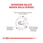 Royal Canin Veterinary Diet Dog Renal Special 2kg
