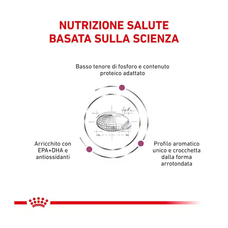 Royal Canin Veterinary Diet Dog Renal Special 2kg