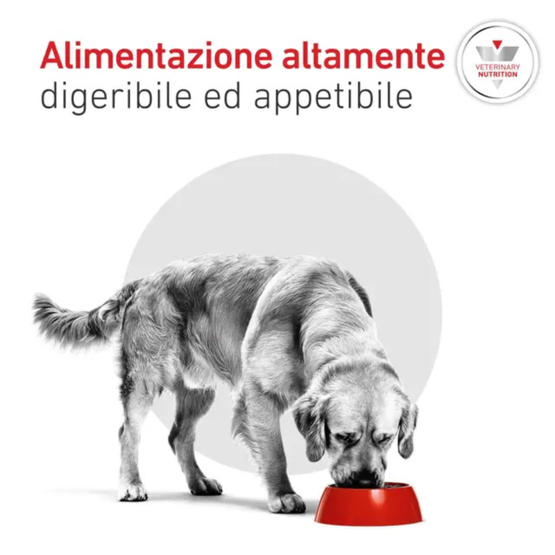 Royal Canin Veterinary Diet Dog Adult Glycobalance 7kg