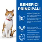 Hill's Science Plan Cat Young Adult Sterilised con Trota Bustina 85 gr.