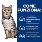 Hill's Prescription Diet Cat c/d Multicare Stress + Metabolic con Pollo 1,5 kg