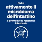 Hill's Prescription Diet Dog Gastrointestinal Biome Spezzatino con Pollo e Verdure 354 gr