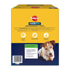 Pedigree Dentastix Dog Small Multipack 105pz