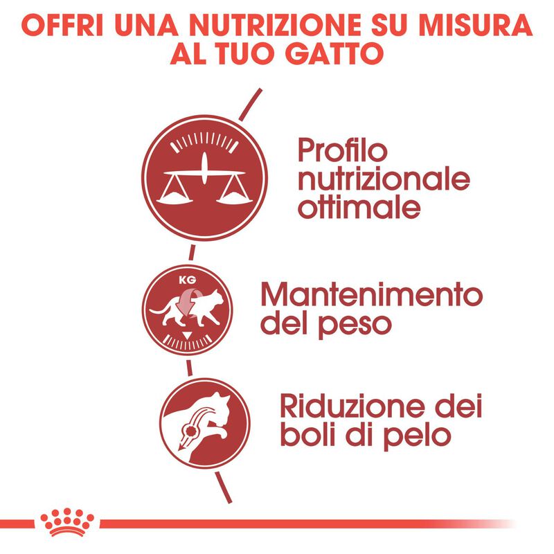 Royal Canin Cat Adult Fit 32 400 gr