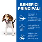 Hill's Science Plan Dog Puppy Medium con Agnello e Riso 2,5 kg
