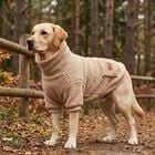 L'Isola dei Tesori Dolomia Cappottino per cani 40 Beige