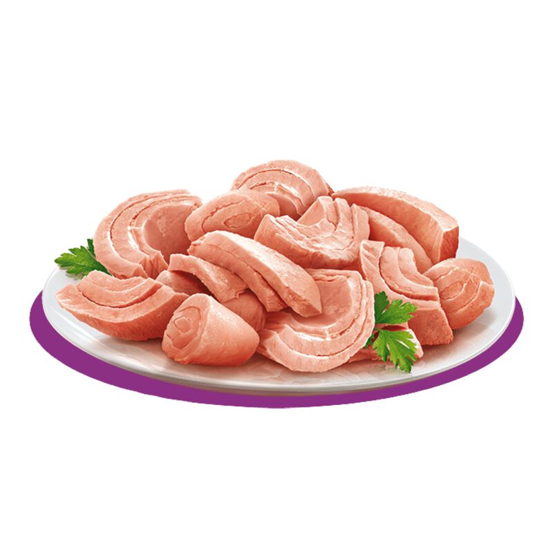 Petreet Cat 100% Monoproteico Tonno 70 gr