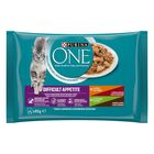 Purina One Cat Appetito Difficile Filettini in salsa Pollo e Manzo, Tacchino e Anatra 85grx4pz