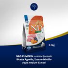 Farmina N&D Pumpkin Dog Adult Medium & Maxi Agnello e Mirtillo 2,5 kg