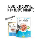 Schesir Cat Filetti di Tonnetto in Gelatina 70g