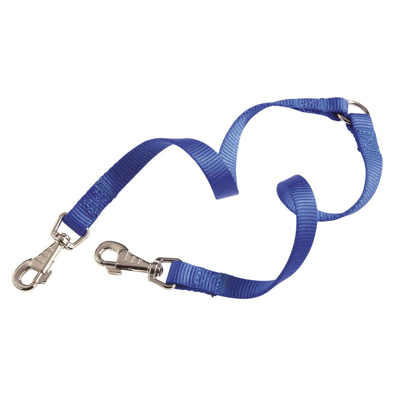 Camon Accoppiacani 12x350 mm Blu