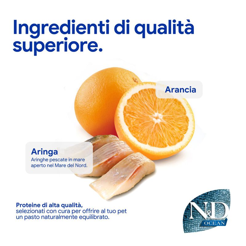 N&D Farmina Ocean Cat Adult Aringa & Arancia 300 gr