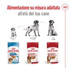Royal Canin Dog Medium Adult 140 gr