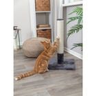 Trixie Tiragraffi Tronchetto Batres grigio 62 cm