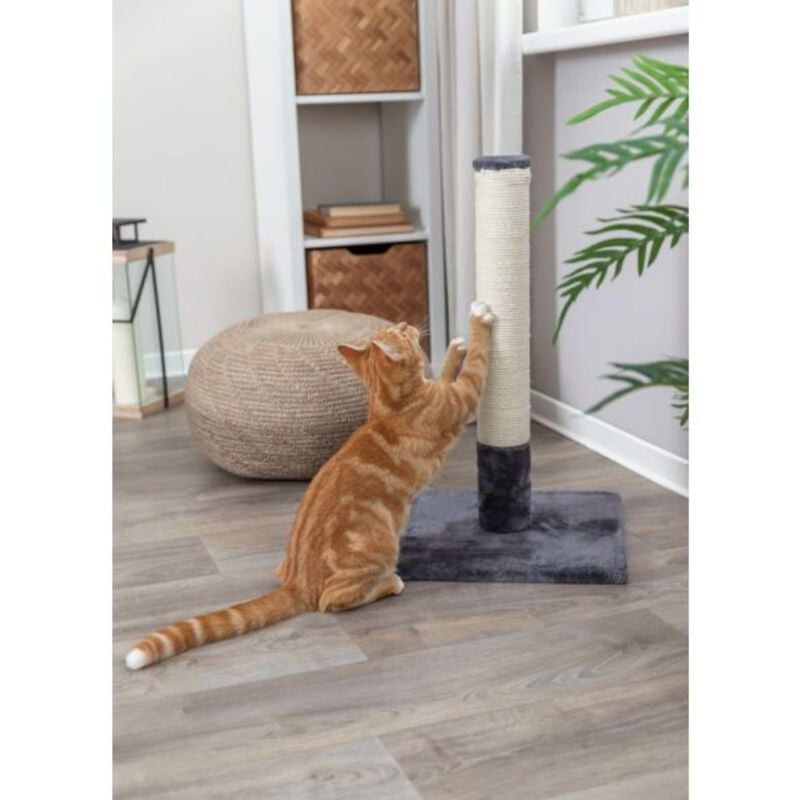 Trixie Tiragraffi Tronchetto Batres grigio 62 cm