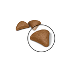 Royal Canin Cat Adult Hairball Care 2 kg