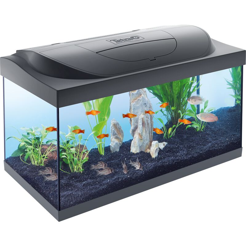 Tetra Starter Line Led 54 l