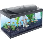 Tetra Starter Line Led 54 l image number 0