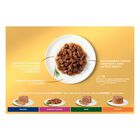 Gourmet Gold Cat Adult Dadini in Salsa con Manzo, Salmone e Pollo, Tacchino e Anatra, Pollo e Fegato 12x85 gr