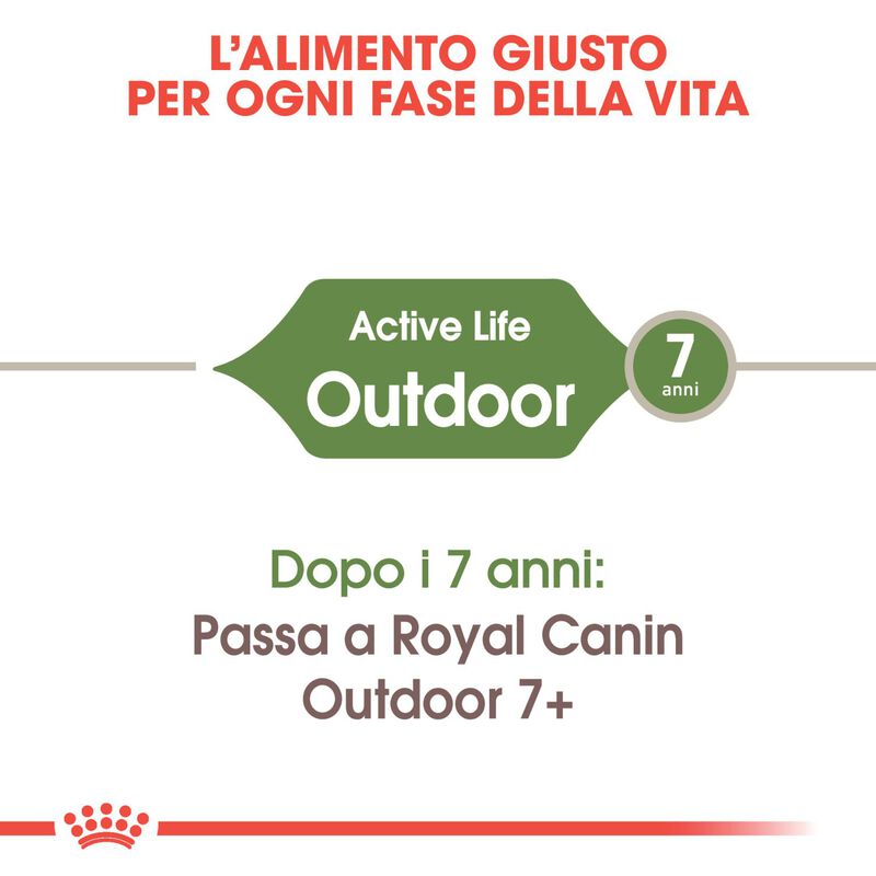 Royal Canin Cat Adult Outdoor 2 kg