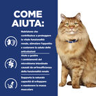 Hill's Prescription Diet Cat k/d + Mobility spezzatino con pollo e verdure aggiunte 82gr